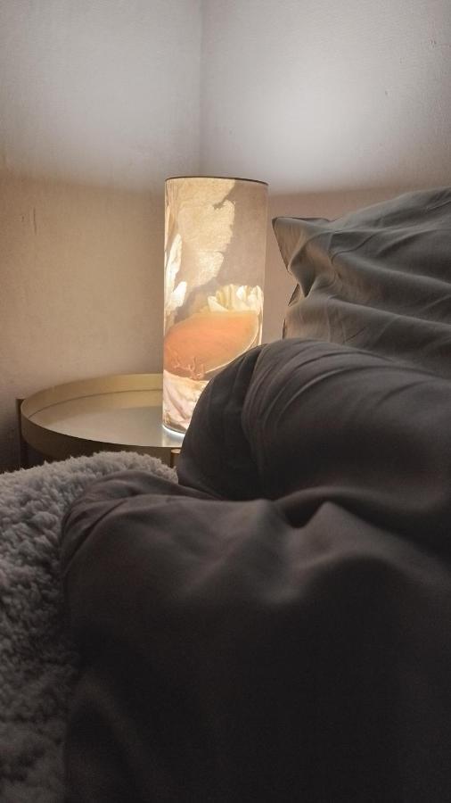 Charmante Chambre Spacieuse Et Lumineuse 巴黎 外观 照片